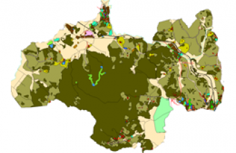 cartina